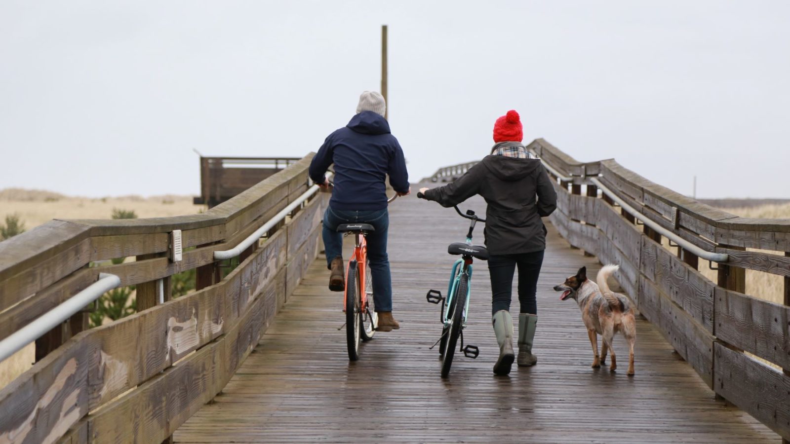 Are Dogs Allowed On Long Beach Boardwalk