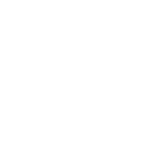 kind traveler